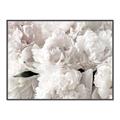 Picture of Fluffy Florals _GroupedProduct_Rectangle_Landscape_Photography _GroupedProduct_Rectangle_Landscape_Canvas_Framed_