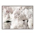 Picture of Fluffy Florals _GroupedProduct_Rectangle_Landscape_Photography _GroupedProduct_Rectangle_Landscape_Canvas_Framed_