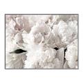 Picture of Fluffy Florals _GroupedProduct_Rectangle_Landscape_Photography _GroupedProduct_Rectangle_Landscape_Canvas_Framed_
