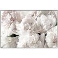 Picture of Fluffy Florals _GroupedProduct_Rectangle_Landscape_Photography _GroupedProduct_Rectangle_Landscape_Canvas_Framed_