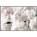 Picture of Fluffy Florals _GroupedProduct_Rectangle_Landscape_Photography _GroupedProduct_Rectangle_Landscape_Canvas_Framed_