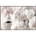 Picture of Fluffy Florals _GroupedProduct_Rectangle_Landscape_Photography _GroupedProduct_Rectangle_Landscape_Canvas_Framed_