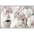 Picture of Fluffy Florals _GroupedProduct_Rectangle_Landscape_Photography _GroupedProduct_Rectangle_Landscape_Canvas_Framed_