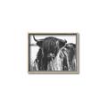 Picture of Bull in the Grass _GroupedProduct_Rectangle_Landscape_Photography _GroupedProduct_Rectangle_Landscape_Canvas_Framed_
