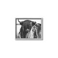 Picture of Bull in the Grass _GroupedProduct_Rectangle_Landscape_Photography _GroupedProduct_Rectangle_Landscape_Canvas_Framed_