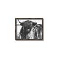 Picture of Bull in the Grass _GroupedProduct_Rectangle_Landscape_Photography _GroupedProduct_Rectangle_Landscape_Canvas_Framed_