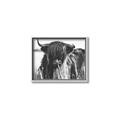 Picture of Bull in the Grass _GroupedProduct_Rectangle_Landscape_Photography _GroupedProduct_Rectangle_Landscape_Canvas_Framed_
