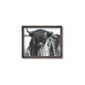 Picture of Bull in the Grass _GroupedProduct_Rectangle_Landscape_Photography _GroupedProduct_Rectangle_Landscape_Canvas_Framed_