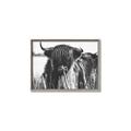 Picture of Bull in the Grass _GroupedProduct_Rectangle_Landscape_Photography _GroupedProduct_Rectangle_Landscape_Canvas_Framed_