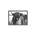 Picture of Bull in the Grass _GroupedProduct_Rectangle_Landscape_Photography _GroupedProduct_Rectangle_Landscape_Canvas_Framed_