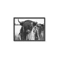 Picture of Bull in the Grass _GroupedProduct_Rectangle_Landscape_Photography _GroupedProduct_Rectangle_Landscape_Canvas_Framed_