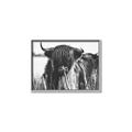 Picture of Bull in the Grass _GroupedProduct_Rectangle_Landscape_Photography _GroupedProduct_Rectangle_Landscape_Canvas_Framed_