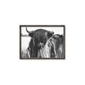 Picture of Bull in the Grass _GroupedProduct_Rectangle_Landscape_Photography _GroupedProduct_Rectangle_Landscape_Canvas_Framed_