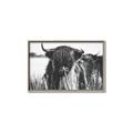Picture of Bull in the Grass _GroupedProduct_Rectangle_Landscape_Photography _GroupedProduct_Rectangle_Landscape_Canvas_Framed_