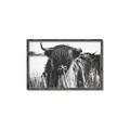 Picture of Bull in the Grass _GroupedProduct_Rectangle_Landscape_Photography _GroupedProduct_Rectangle_Landscape_Canvas_Framed_