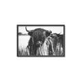 Picture of Bull in the Grass _GroupedProduct_Rectangle_Landscape_Photography _GroupedProduct_Rectangle_Landscape_Canvas_Framed_