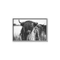 Picture of Bull in the Grass _GroupedProduct_Rectangle_Landscape_Photography _GroupedProduct_Rectangle_Landscape_Canvas_Framed_