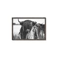 Picture of Bull in the Grass _GroupedProduct_Rectangle_Landscape_Photography _GroupedProduct_Rectangle_Landscape_Canvas_Framed_