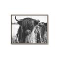 Picture of Bull in the Grass _GroupedProduct_Rectangle_Landscape_Photography _GroupedProduct_Rectangle_Landscape_Canvas_Framed_