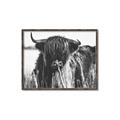 Picture of Bull in the Grass _GroupedProduct_Rectangle_Landscape_Photography _GroupedProduct_Rectangle_Landscape_Canvas_Framed_