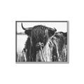 Picture of Bull in the Grass _GroupedProduct_Rectangle_Landscape_Photography _GroupedProduct_Rectangle_Landscape_Canvas_Framed_