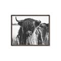 Picture of Bull in the Grass _GroupedProduct_Rectangle_Landscape_Photography _GroupedProduct_Rectangle_Landscape_Canvas_Framed_