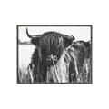 Picture of Bull in the Grass _GroupedProduct_Rectangle_Landscape_Photography _GroupedProduct_Rectangle_Landscape_Canvas_Framed_