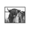Picture of Bull in the Grass _GroupedProduct_Rectangle_Landscape_Photography _GroupedProduct_Rectangle_Landscape_Canvas_Framed_