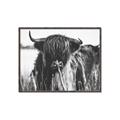 Picture of Bull in the Grass _GroupedProduct_Rectangle_Landscape_Photography _GroupedProduct_Rectangle_Landscape_Canvas_Framed_