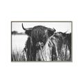 Picture of Bull in the Grass _GroupedProduct_Rectangle_Landscape_Photography _GroupedProduct_Rectangle_Landscape_Canvas_Framed_