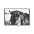 Picture of Bull in the Grass _GroupedProduct_Rectangle_Landscape_Photography _GroupedProduct_Rectangle_Landscape_Canvas_Framed_
