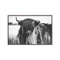 Picture of Bull in the Grass _GroupedProduct_Rectangle_Landscape_Photography _GroupedProduct_Rectangle_Landscape_Canvas_Framed_
