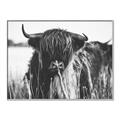Picture of Bull in the Grass _GroupedProduct_Rectangle_Landscape_Photography _GroupedProduct_Rectangle_Landscape_Canvas_Framed_