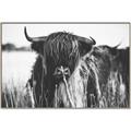 Picture of Bull in the Grass _GroupedProduct_Rectangle_Landscape_Photography _GroupedProduct_Rectangle_Landscape_Canvas_Framed_