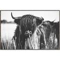 Picture of Bull in the Grass _GroupedProduct_Rectangle_Landscape_Photography _GroupedProduct_Rectangle_Landscape_Canvas_Framed_