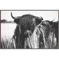 Picture of Bull in the Grass _GroupedProduct_Rectangle_Landscape_Photography _GroupedProduct_Rectangle_Landscape_Canvas_Framed_