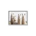 Picture of Llama Fam _GroupedProduct_Rectangle_Landscape_Photography _GroupedProduct_Rectangle_Landscape_Canvas_Framed_