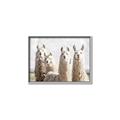 Picture of Llama Fam _GroupedProduct_Rectangle_Landscape_Photography _GroupedProduct_Rectangle_Landscape_Canvas_Framed_