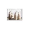 Picture of Llama Fam _GroupedProduct_Rectangle_Landscape_Photography _GroupedProduct_Rectangle_Landscape_Canvas_Framed_