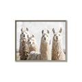 Picture of Llama Fam _GroupedProduct_Rectangle_Landscape_Photography _GroupedProduct_Rectangle_Landscape_Canvas_Framed_