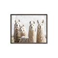 Picture of Llama Fam _GroupedProduct_Rectangle_Landscape_Photography _GroupedProduct_Rectangle_Landscape_Canvas_Framed_