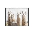 Picture of Llama Fam _GroupedProduct_Rectangle_Landscape_Photography _GroupedProduct_Rectangle_Landscape_Canvas_Framed_