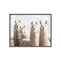 Picture of Llama Fam _GroupedProduct_Rectangle_Landscape_Photography _GroupedProduct_Rectangle_Landscape_Canvas_Framed_