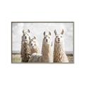 Picture of Llama Fam _GroupedProduct_Rectangle_Landscape_Photography _GroupedProduct_Rectangle_Landscape_Canvas_Framed_