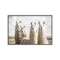 Picture of Llama Fam _GroupedProduct_Rectangle_Landscape_Photography _GroupedProduct_Rectangle_Landscape_Canvas_Framed_