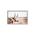 Picture of Annie, the Spotted Cow III _GroupedProduct_Rectangle_Landscape_Photography _GroupedProduct_Rectangle_Landscape_Canvas_Framed_