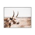 Picture of Annie, the Spotted Cow III _GroupedProduct_Rectangle_Landscape_Photography _GroupedProduct_Rectangle_Landscape_Canvas_Framed_