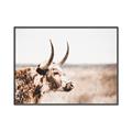 Picture of Annie, the Spotted Cow III _GroupedProduct_Rectangle_Landscape_Photography _GroupedProduct_Rectangle_Landscape_Canvas_Framed_