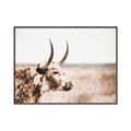 Picture of Annie, the Spotted Cow III _GroupedProduct_Rectangle_Landscape_Photography _GroupedProduct_Rectangle_Landscape_Canvas_Framed_