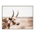 Picture of Annie, the Spotted Cow III _GroupedProduct_Rectangle_Landscape_Photography _GroupedProduct_Rectangle_Landscape_Canvas_Framed_